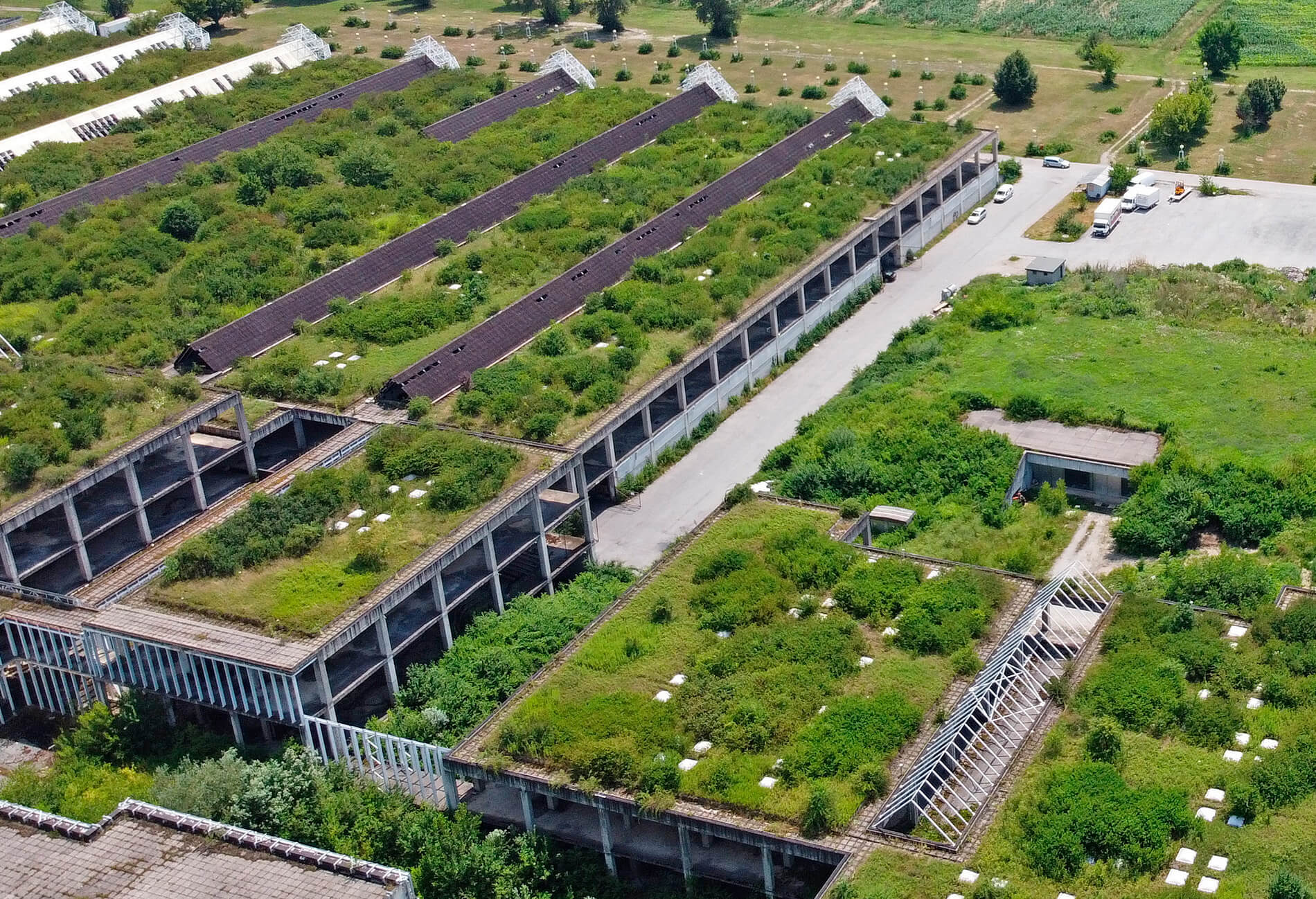 Dachbegrünung Berlin